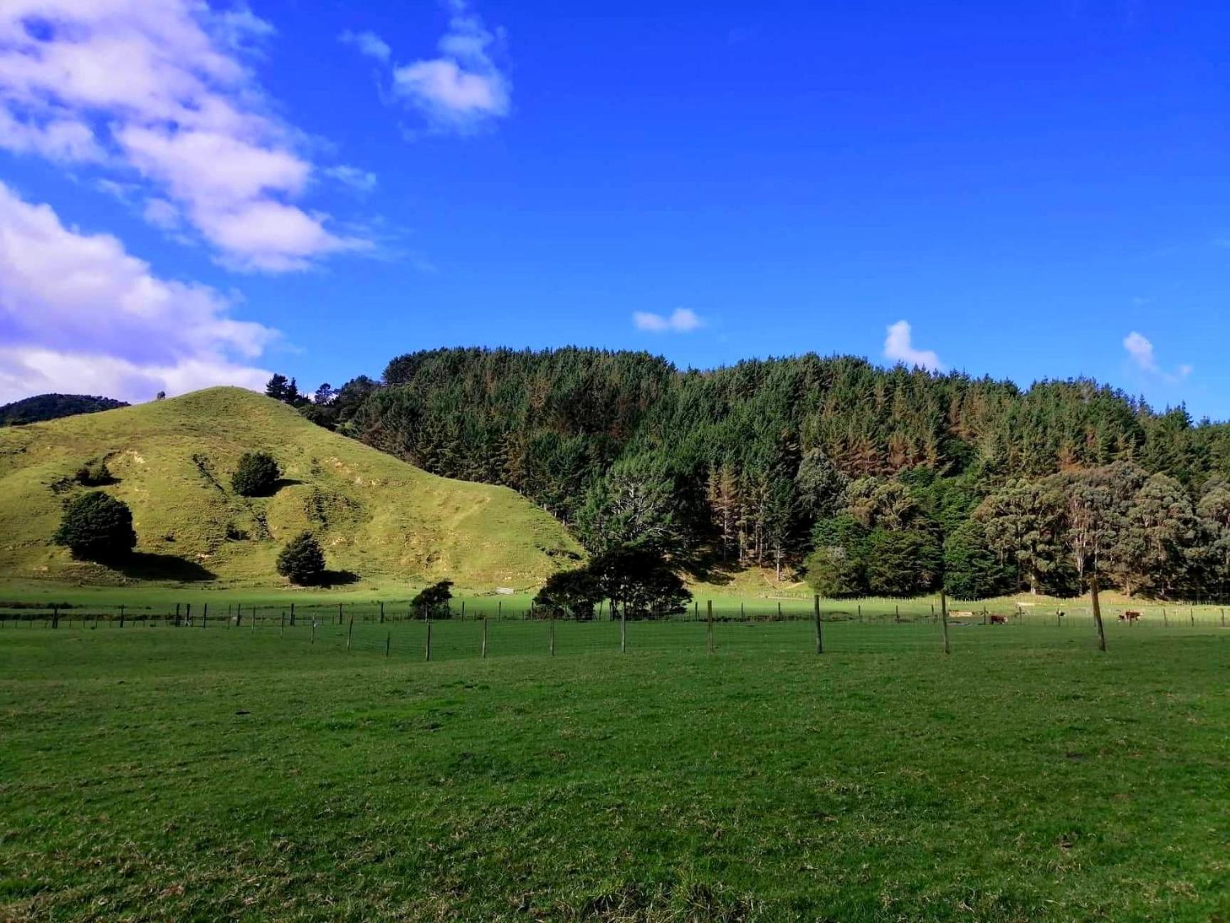 White Star Station Farm Holiday Park Coromandel 外观 照片